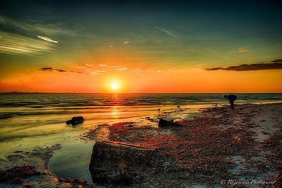 Sunrise shelling on Sanibel Point