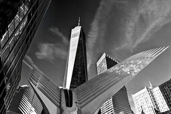 The Oculus
