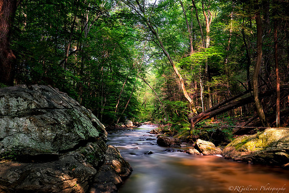 A Day at Hacklebarney Park