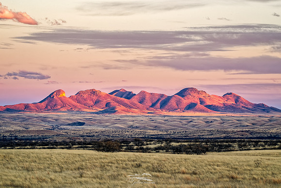 Grasslands