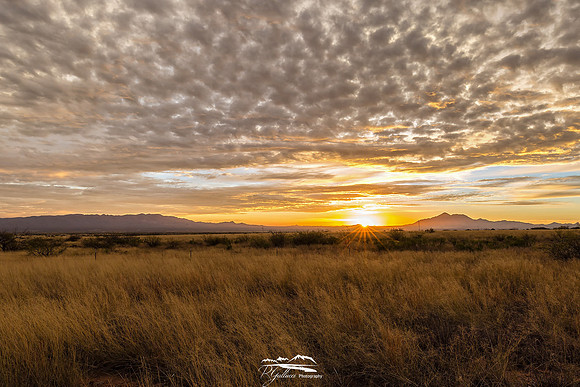 Daybreak on the Plains