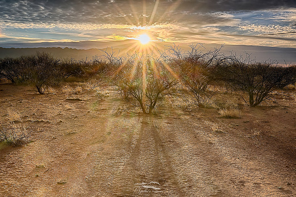 Risen