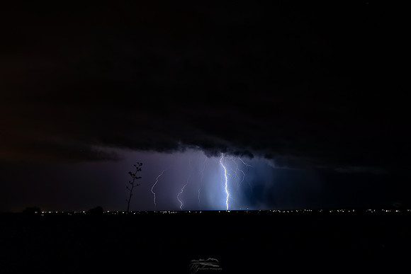 Light and Dark