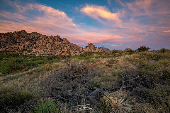 High Desert Landscape