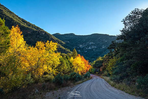 Autumn in Garden Canyon