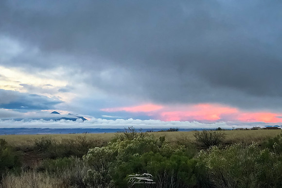 Foggy Sunset