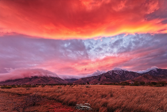 Backyard Sunset