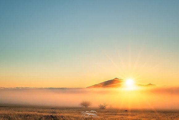 Coronado Sunrise
