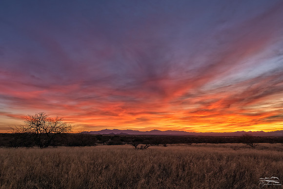 Lunar Eclipse Sunset