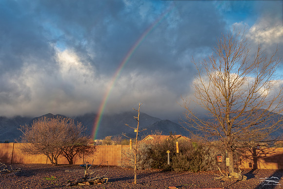 Rainbow in Paradise