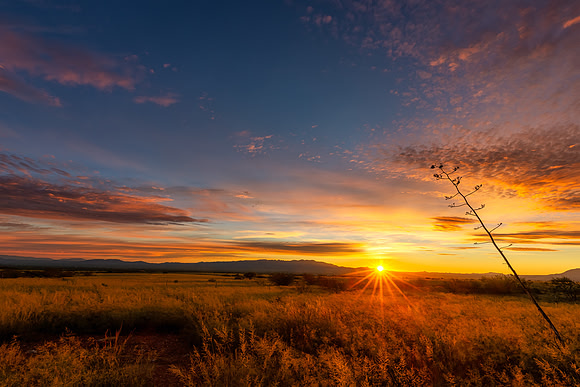 October Morning I