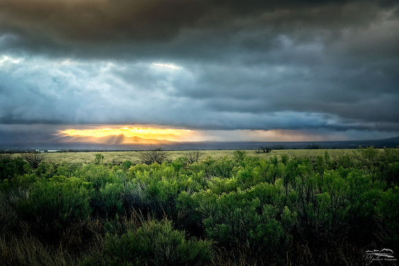 First Morning Light