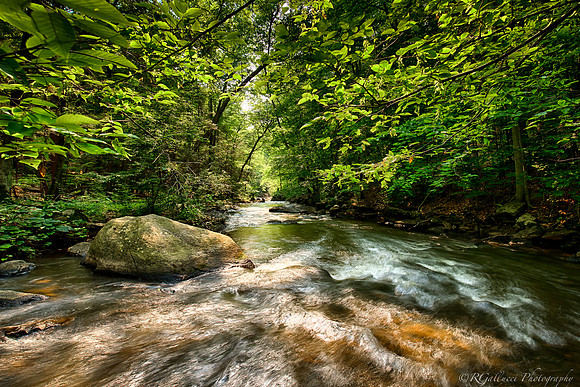 Lammington River of a Summer Day