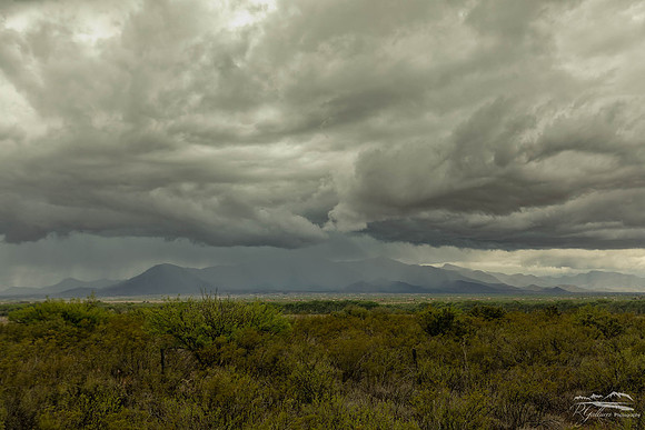The Storm