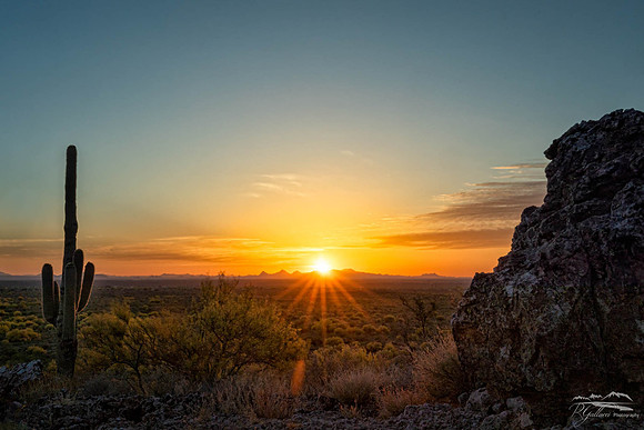 Saguaro Sunset