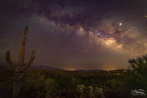Haunted by Saguaro