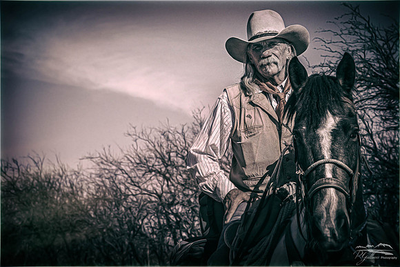 The Cowboy III