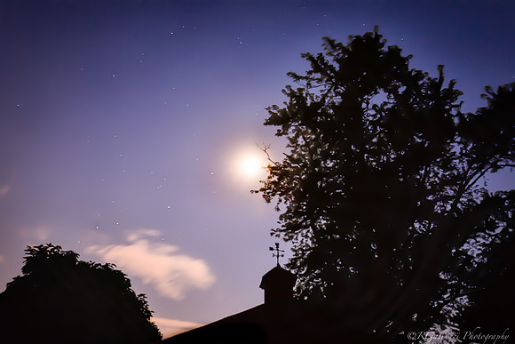 Weather Vane in the Moonlight