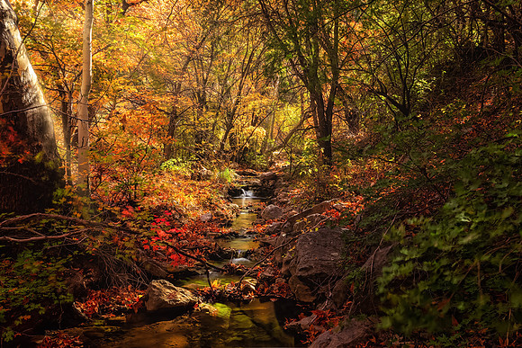 A Fall Afternoon in Garden Canyon