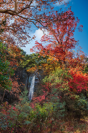 Autumn at Garden Canyon Falls