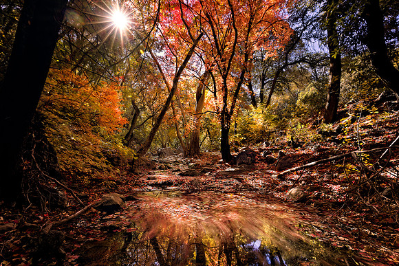 Fall in Garden Canyon