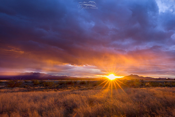 Sunrise 120819