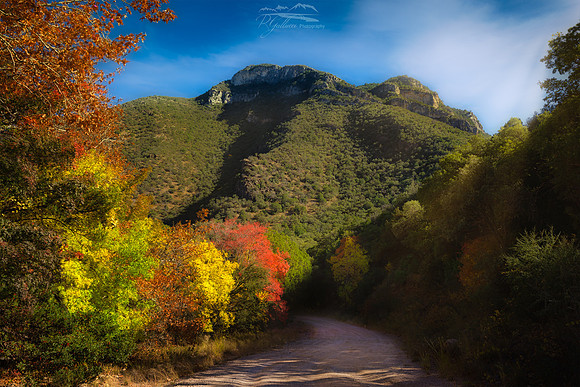 Mystic Canyon