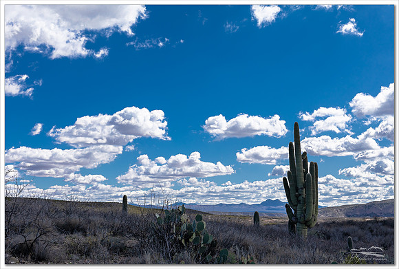 Endless Skies