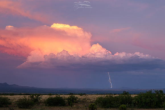 Spaghetti with a side of Lightning