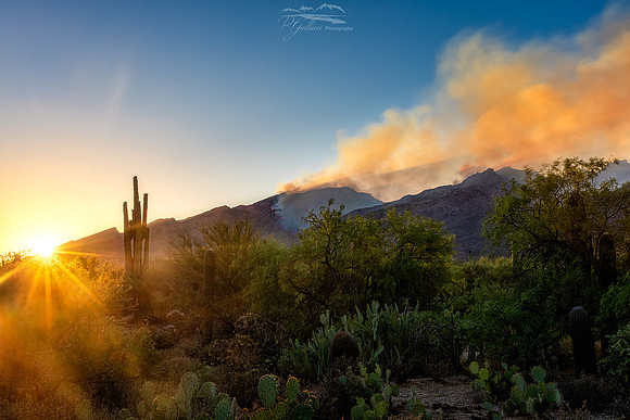 Bighorn Sunset