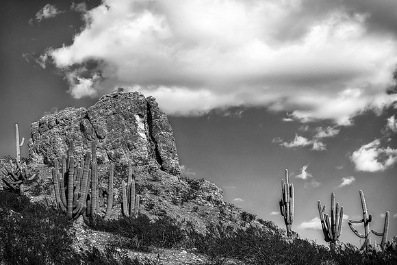 The Desert