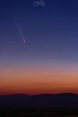 Neowise Rising