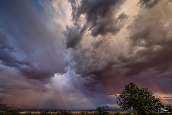 Fury and Light