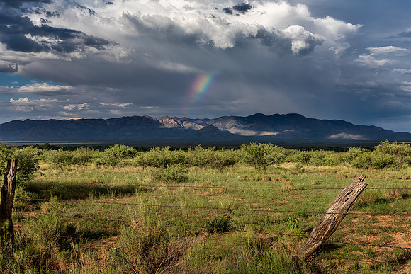 A View from Palominas Road