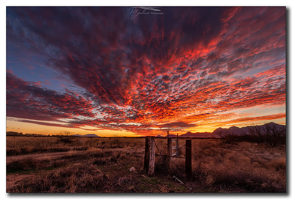 The Last Gate