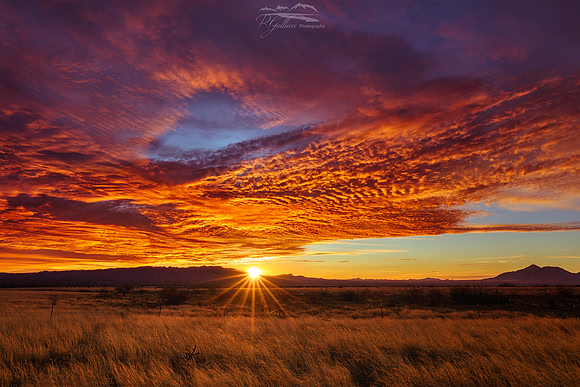 Mornings Hope