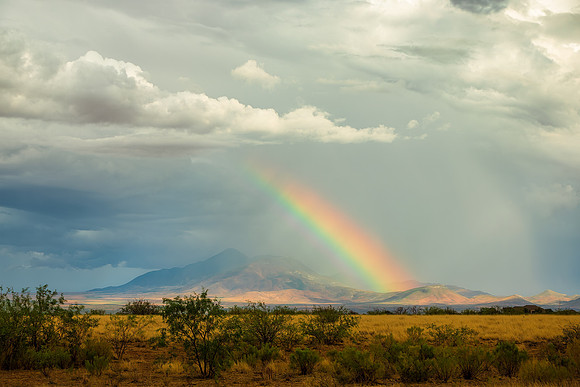 After the Storm