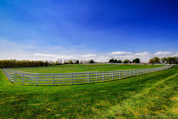 A Horse Farm in NJ