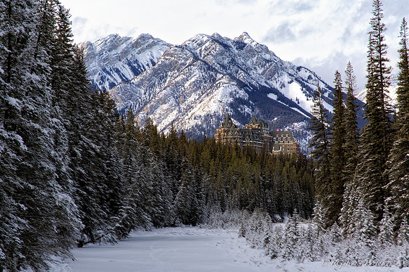 The View from the Bow Valley Bridge