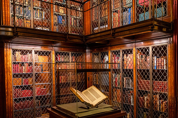 Bookshelves IV