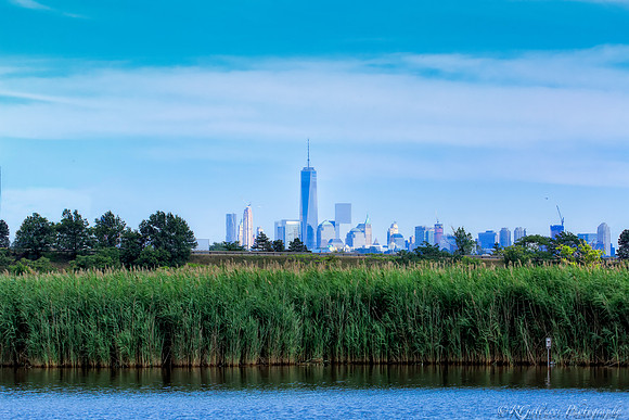 A View From Dekorte Park