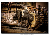 Brandon Reynolds on Dixie Highway 2_