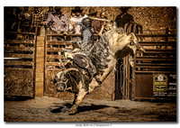 Andy Bohl on Chimpanzee 2_